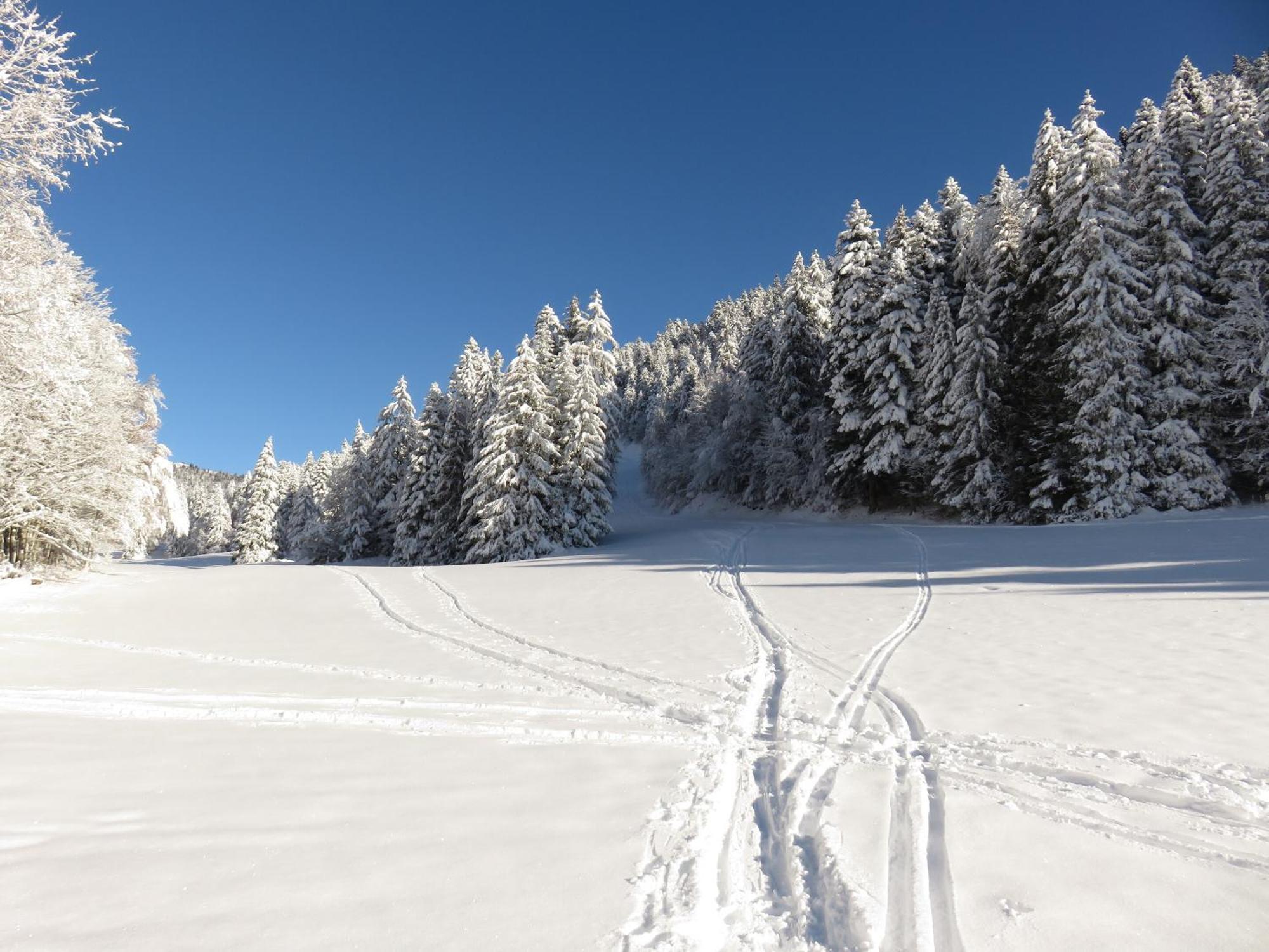 Gite La Resilience, Sur La Piste De Ski D'Autrans Villa Kültér fotó